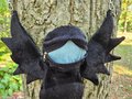 Midnight Raven Side Familiar Purse